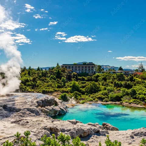 Geyser emitting steam near a turquoise pool, surrounded by greenery under a blue sky.