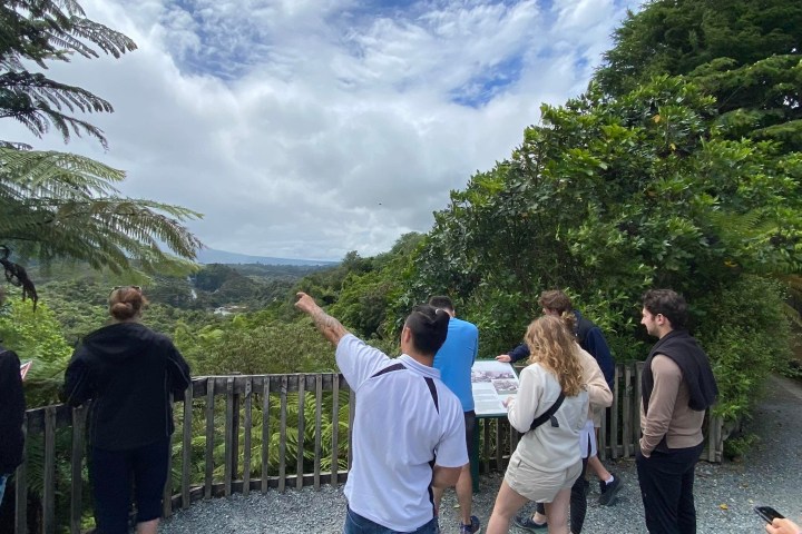 Group of people at a lookout point with greenery and a cloudy sky.
