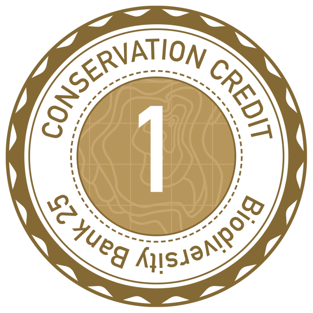 Round badge with 'Conservation Credit' and 'Biodiversity Bank 25' circling a central '1'.