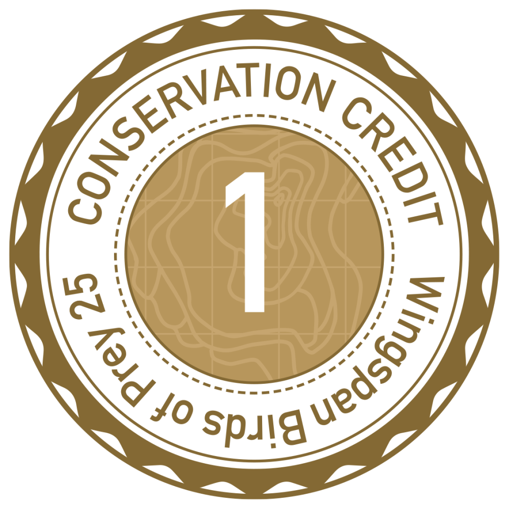 Round badge with 'Conservation Credit 1 Wingspan Birds of Prey 25' text on it.